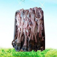 鹿廠直供保真 新鮮鹿蹄筋 滋補 批發(fā) 鹿產品 梅花鹿 一件代發(fā)