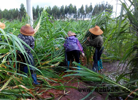 微信截圖_20210511205523