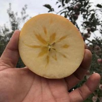 產地直發山西紅富士蘋果 冰糖心應季新鮮水果批發膜袋冰糖心蘋果