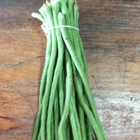 求購(gòu) 日銷(xiāo)30000斤豆角，求量大貨