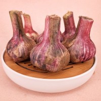 山東大蒜一件代發(fā) 干蒜，大干蒜 專業(yè)倉(cāng)儲(chǔ) ERP對(duì)接 5斤裝