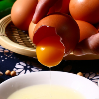 四川土雞蛋 全放養(yǎng)農家雞蛋源產地批發(fā)雞蛋 放養(yǎng)雞蛋粗糧蛋雞蛋