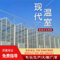 現代智能溫室大棚 連棟玻璃溫室廠家 定制生態(tài)育苗智能陽光板材料