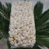 冠發(fā) 古田長裙竹蓀干貨特產竹笙無熏硫食用菌批發(fā)500g