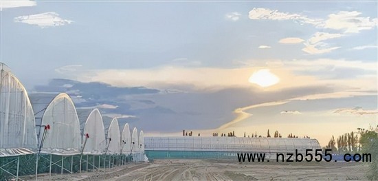 ▲時創(chuàng)科技位于內蒙古巴彥淖爾的金伯利農場。