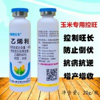 小麥玉米矮壯豐乙烯利玉米控旺縮節(jié)矮化植物生長調節(jié)劑20g