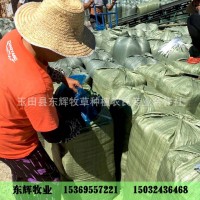 微貯 青貯飼料干玉米秸稈全株青儲 青貯料自產自銷牛羊鹿養(yǎng)殖草料