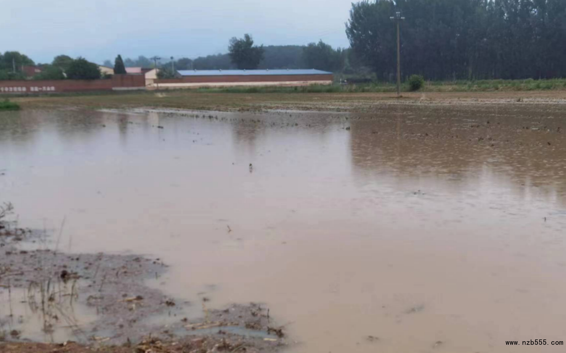 密云河南寨大豆種植地塊積水嚴重。北京市農(nóng)業(yè)技術推廣站供圖