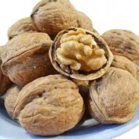 新貨上市，常年供應(yīng)核桃，質(zhì)量保證 價(jià)格優(yōu)惠