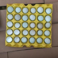 精品小綠殼蛋，凈重30-35斤，日撿日發(fā)