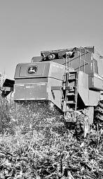 耕耘不輟， 闊步邁向農業強國