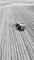 耕耘不輟， 闊步邁向農業強國