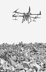 耕耘不輟， 闊步邁向農業強國