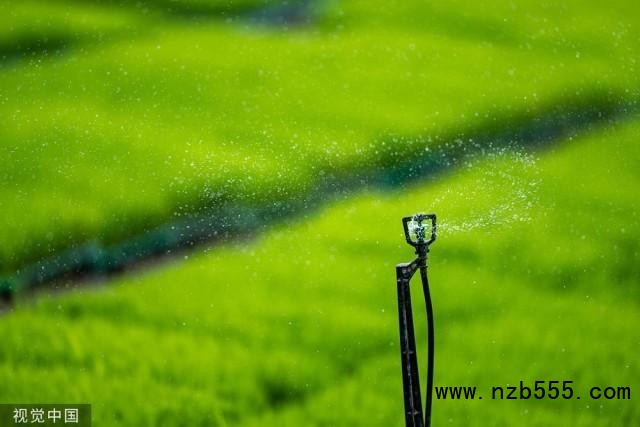2023年5月27日，江蘇昆山，錦溪錦辰農(nóng)機(jī)專業(yè)合作社，智慧噴淋系統(tǒng)在旱地育秧田里進(jìn)行補(bǔ)水。人民視覺(jué) 資料圖