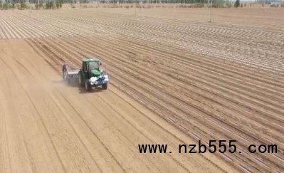 微信截圖_20250410155017