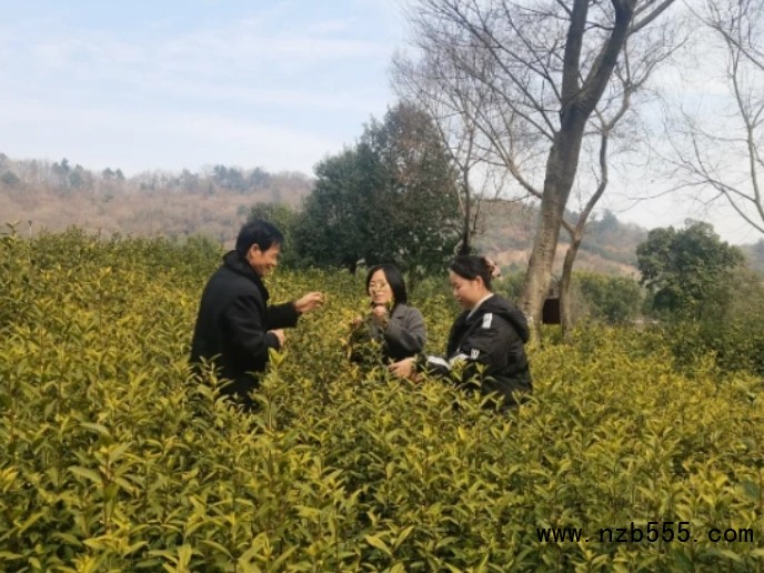 微信截圖_20250522112919