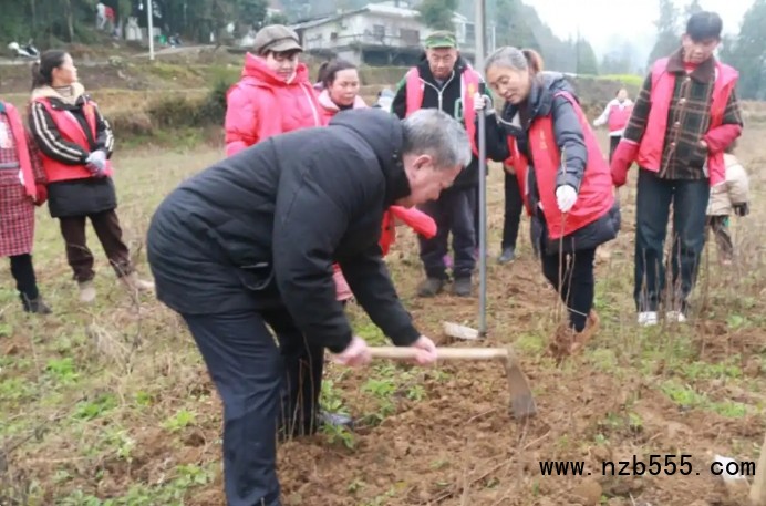 微信截圖_20250526140112