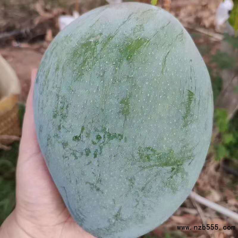 17902697899_808712636