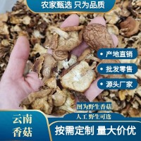云南野生香菇干貨批發包郵天然干香菇高原頭茬厚菇量大價優