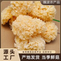 椴木銀耳 天然椴木培育無(wú)硫熏易出膠 軟糯多膠 農(nóng)家干貨 廠家直批