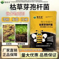 魯樂豐枯草芽孢桿菌蔬菜果樹微生物菌劑養地抗重茬全水溶