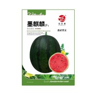 黑皮甜王西瓜種子 個(gè)大果肉沙脆蜜甜 粒爾田墨麒麟種籽 基地用種