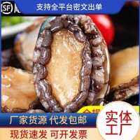 鮑魚鮮活冷凍特大鮑魚肉小鮑魚商用新海鮮水產撈汁飯批發(fā)火鍋食材