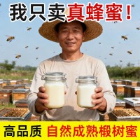 椴樹蜂蜜500g結(jié)晶豬油蜜雪蜜一斤源頭廠家一件代發(fā)椴樹蜜原蜜批發(fā)