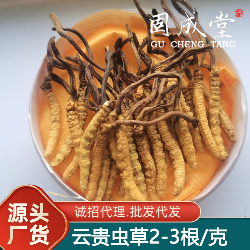 O1CN01GpUKOi28QcNQaQBry_!!2214122807927-0-cib