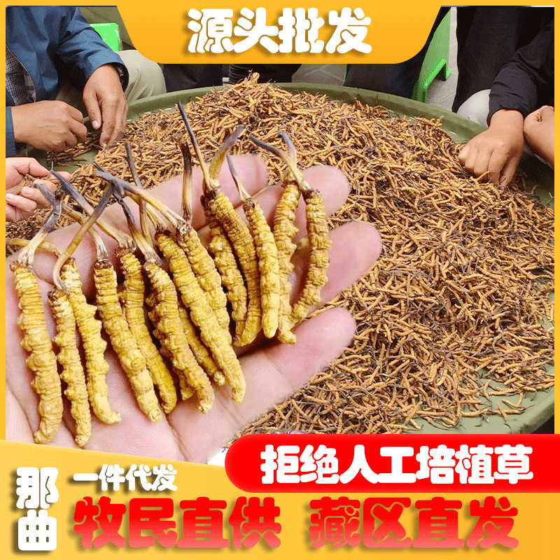 O1CN01ggIhpo1pZLEXDRc8p_!!3343355374-0-cib