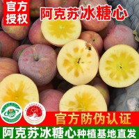 新疆阿克蘇冰糖心蘋果產(chǎn)地直發(fā)核心紅旗坡農(nóng)場(chǎng)種植基地現(xiàn)發(fā)孕婦