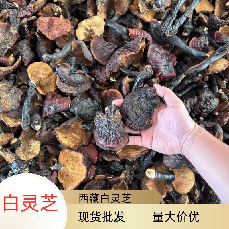 O1CN016Fiyer1aV1ZbArI2m_!!2216313053334-0-cib