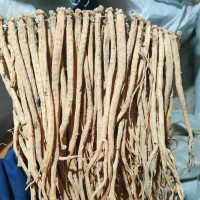 【康源】黨參個批發(fā)優(yōu)質(zhì)整條黨參優(yōu)質(zhì)貨源產(chǎn)地直供