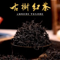鳳慶滇紅茶 云南大葉種茶 醇厚甘甜古樹(shù)紅茶 500克散裝紅茶批發(fā)