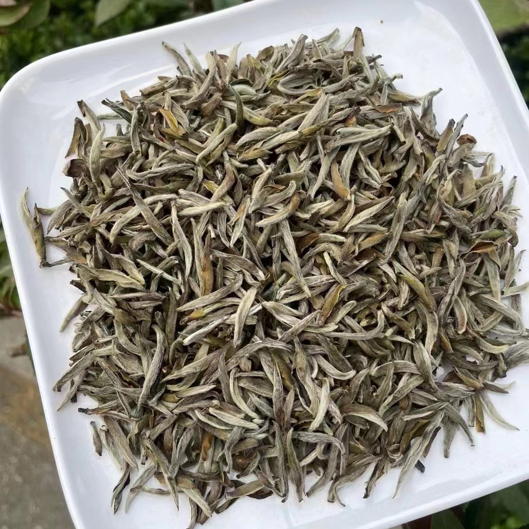 O1CN01MLzXoM1v9ajDneJoP_!!3409726130-0-cib