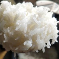 增荔增城絲苗米5斤十大好吃米飯長粒香大米新米寶寶米