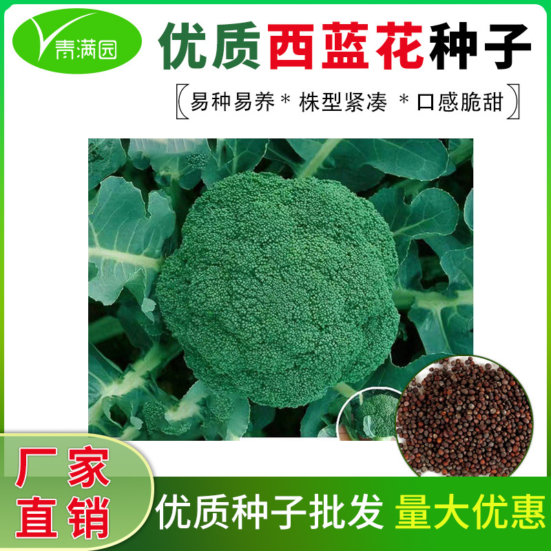 O1CN01VGa87N1bRBhg1Z69Q_!!2217227143461-0-cib