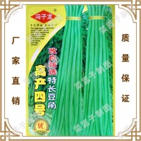 蔬菜種子 高鏟四號(hào)改良青選持長(zhǎng)豆角 陽(yáng)臺(tái)爬藤果盆栽
