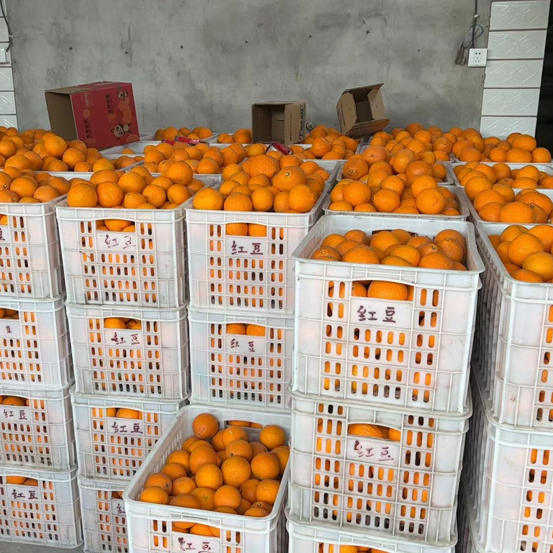 O1CN01M6VCVM1t4tWyuPt4r_!!2200696375849-0-cib