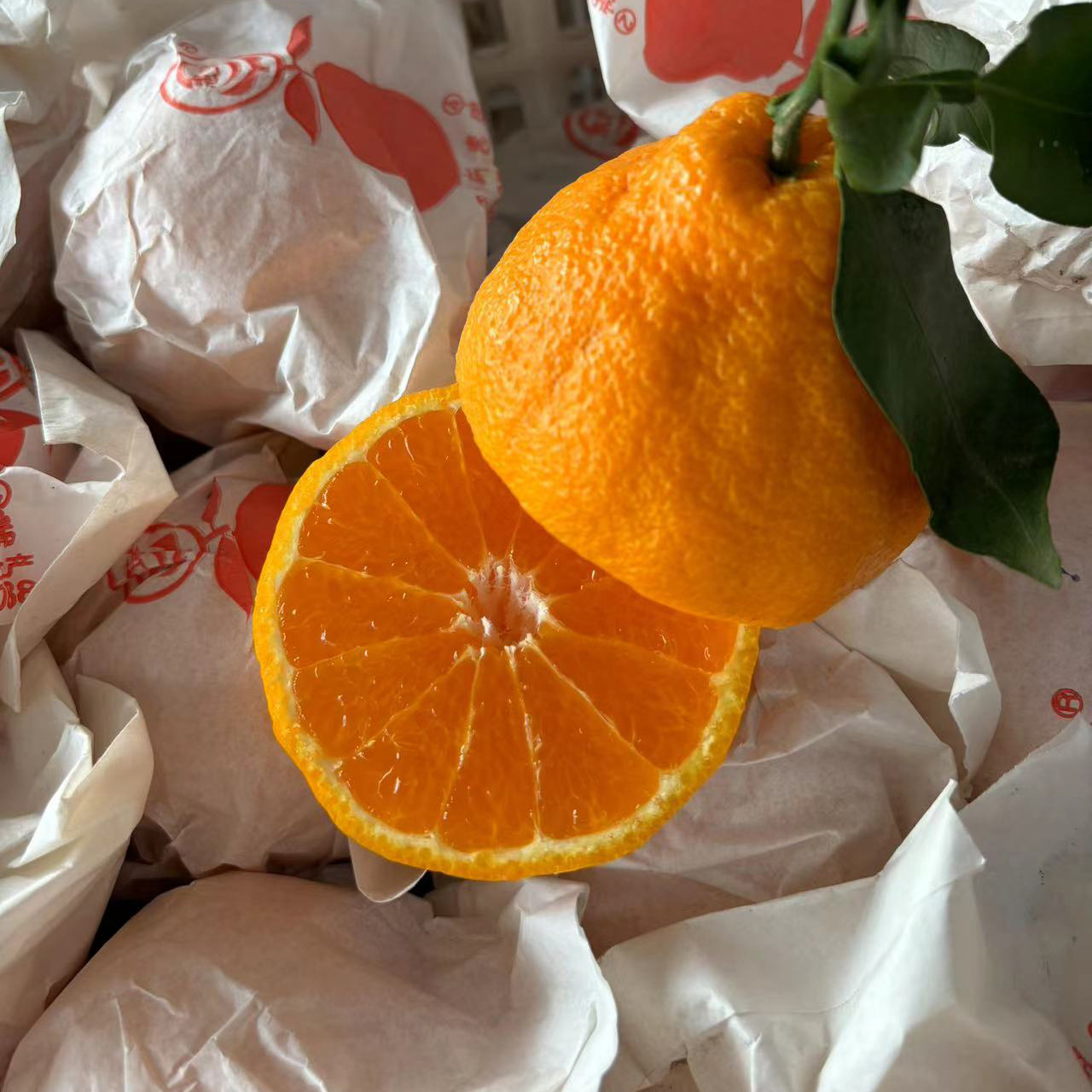 O1CN01x9MdUk1t4tVx2cFvI_!!2200696375849-0-cib