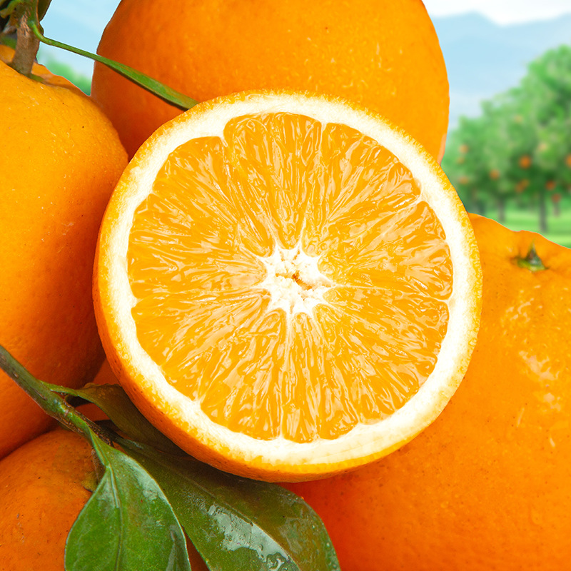 O1CN01FGiuEm1LSzaxXHsAV_!!2211002991299-0-cib