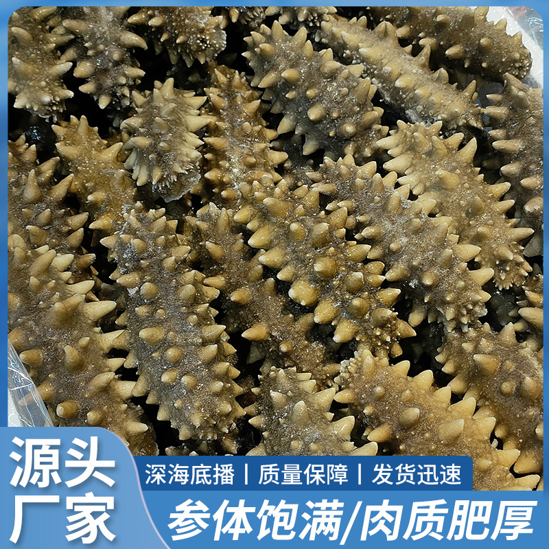 O1CN01bkdKRZ1pQBR4J9CG3_!!2216943635354-0-cib