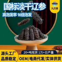 國標(biāo)高泡發(fā)純野生淡干海參工廠遼參刺參大連海參批發(fā)淡干海參干貨