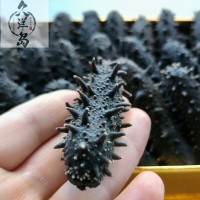 大連遼參50g深海底播刺參一件代發順豐包郵淡干海參大連海參免泡