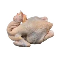 廣西玉林三黃雞商用土雞整箱雞肉白條雞冷凍整雞批發