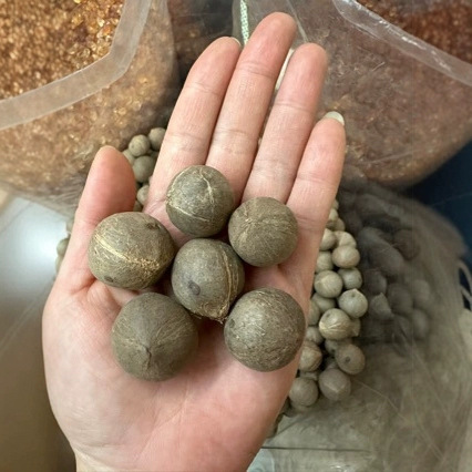 O1CN01ja6enY1Bs32w6OLHn_!!0-0-cib