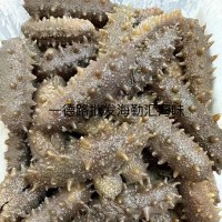 批發大連淡干海參大連刺參遼刺參大連遼參海參干貨泡發10倍優質