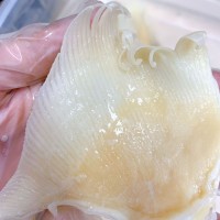 產地批發 北海魚赤 海狗翅浦魚赤片 佛跳墻酒店餐飲食材海味干貨