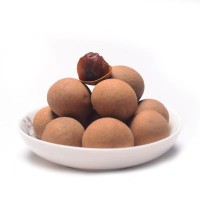 代發(fā)莆田桂圓干大果新貨袋裝大雙A批發(fā)福建特產(chǎn)小核厚肉龍眼桂圓