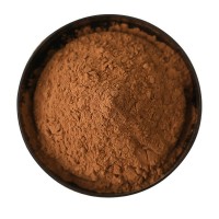 工廠直銷未堿化 可可粉100目 現貨散裝發貨500克起批發